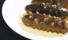 海参的吃法与做法视频,多样吃法与制作技巧大揭秘