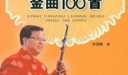 二胡流行歌曲视频,经典歌曲视频赏析